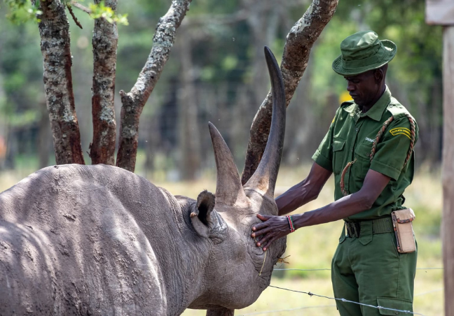 11 Days Kenya Luxury Bush & Beach Safari