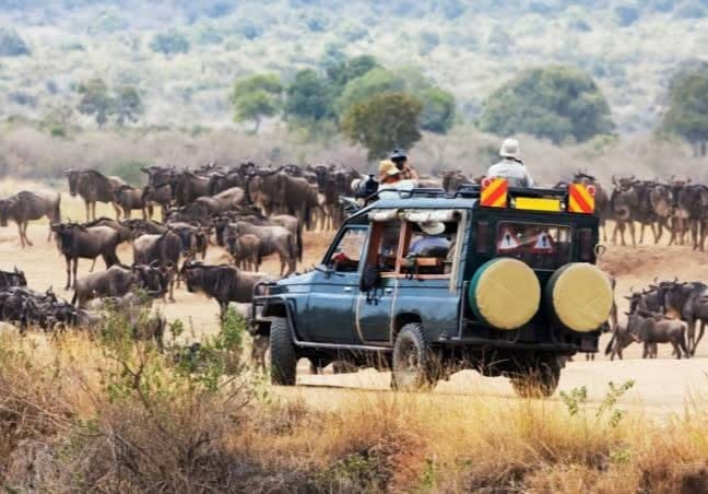 6 Days Kenya Luxury Safari Experience