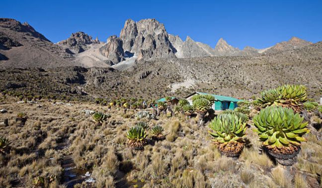 Discover the Magic of Mount Kenya