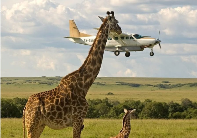 Samburu Flying Safari