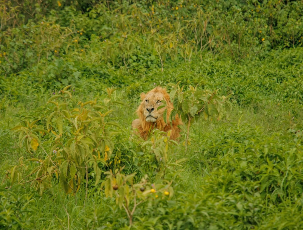 10 Days Explore Kenya Private Classic Safari