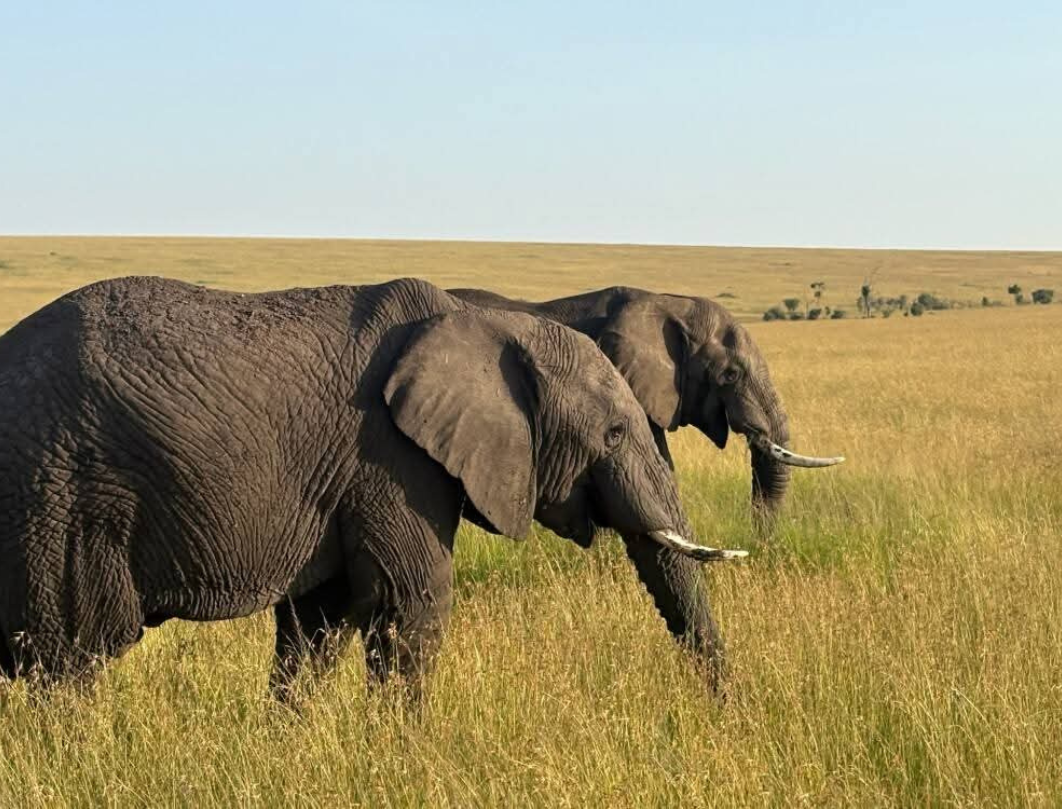 10 DaysTanzania Private Safari