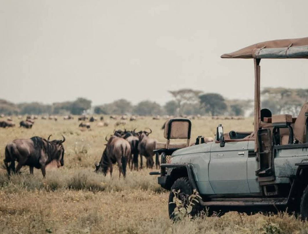 10 Days Tanzania Honeymoon Safari