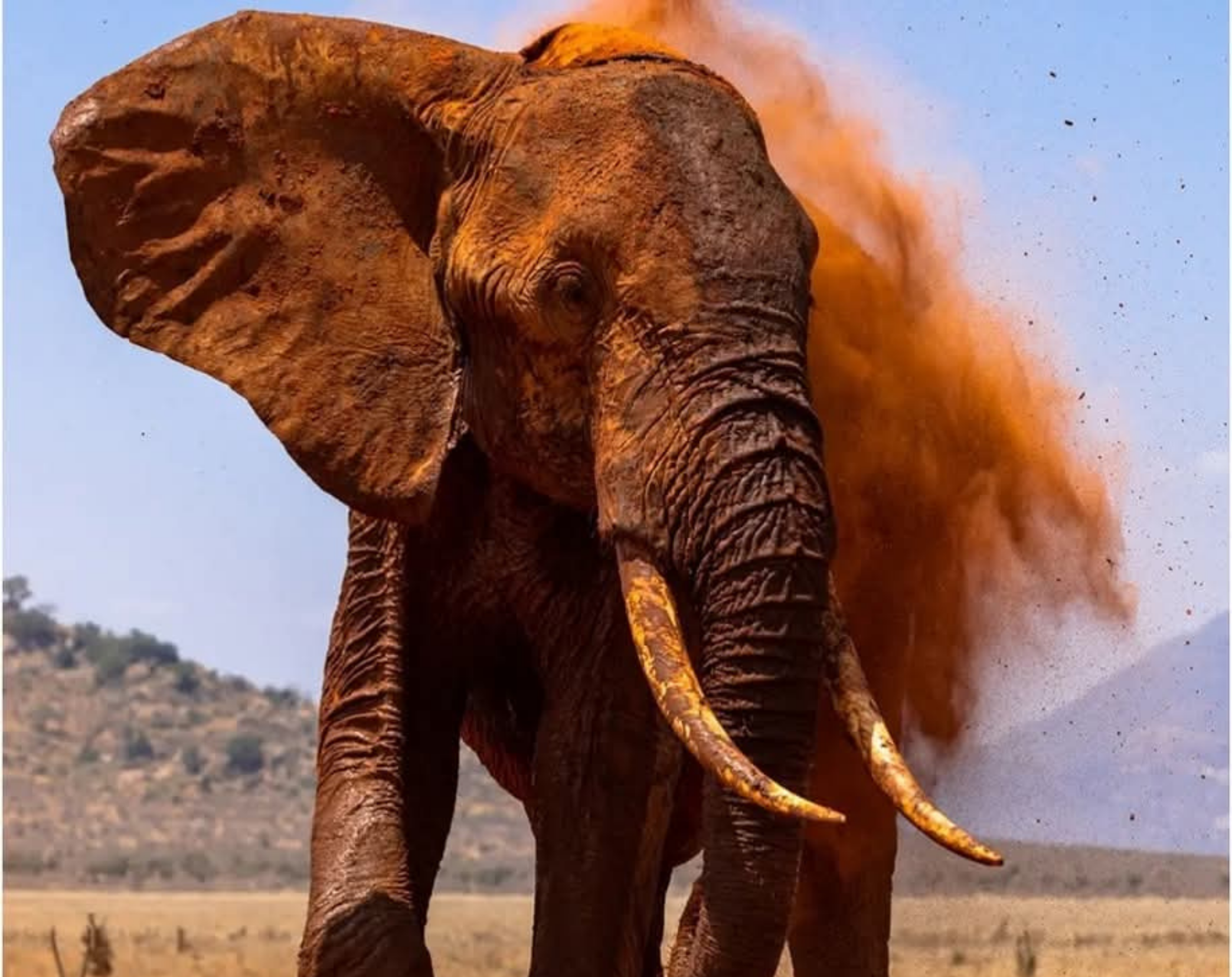 11 Days Explore Kenya Budget Safari