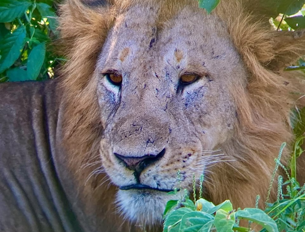 11 Days Kenya Photography Safari