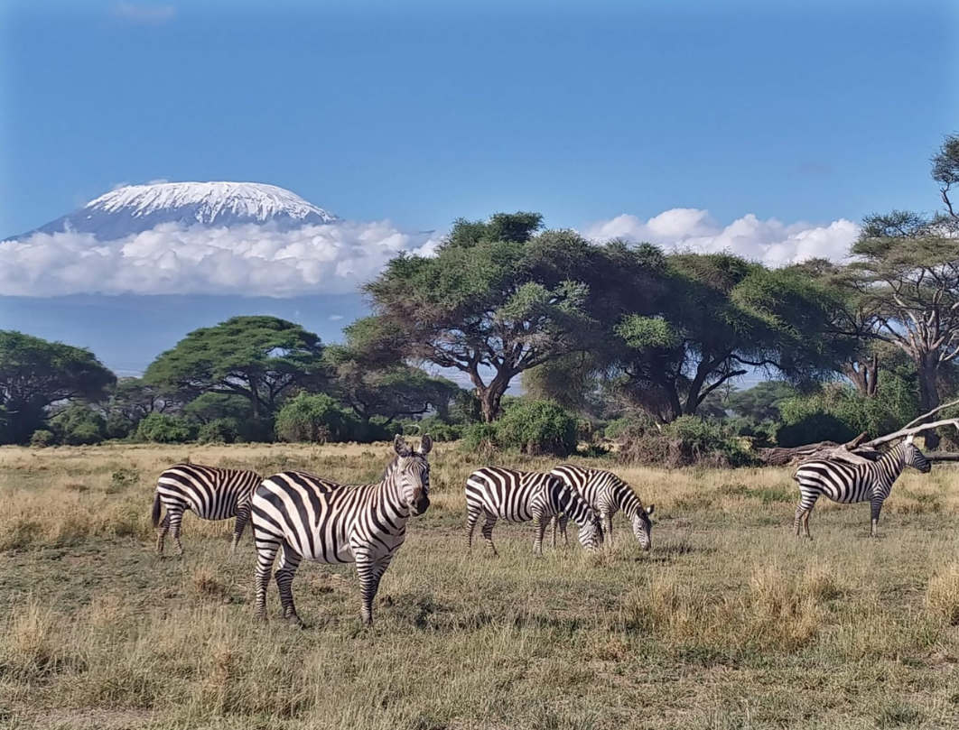 11 Days Kenya Photography Safari