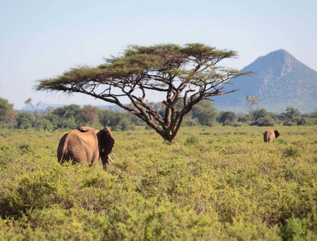 11 Days Explore Kenya Private Classic Safari 