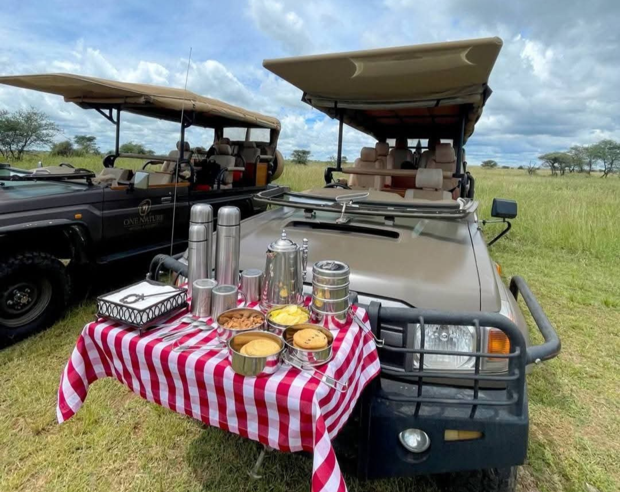 11 Days Tanzania Private Safari