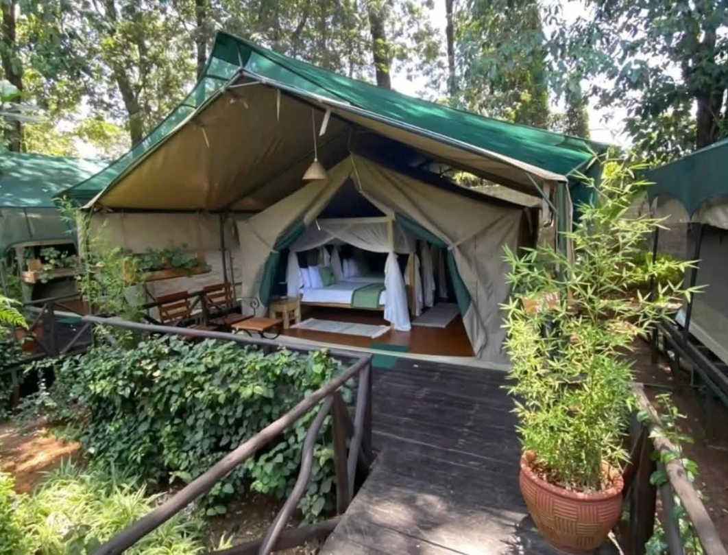11 Days Tanzania Honeymoon Safari