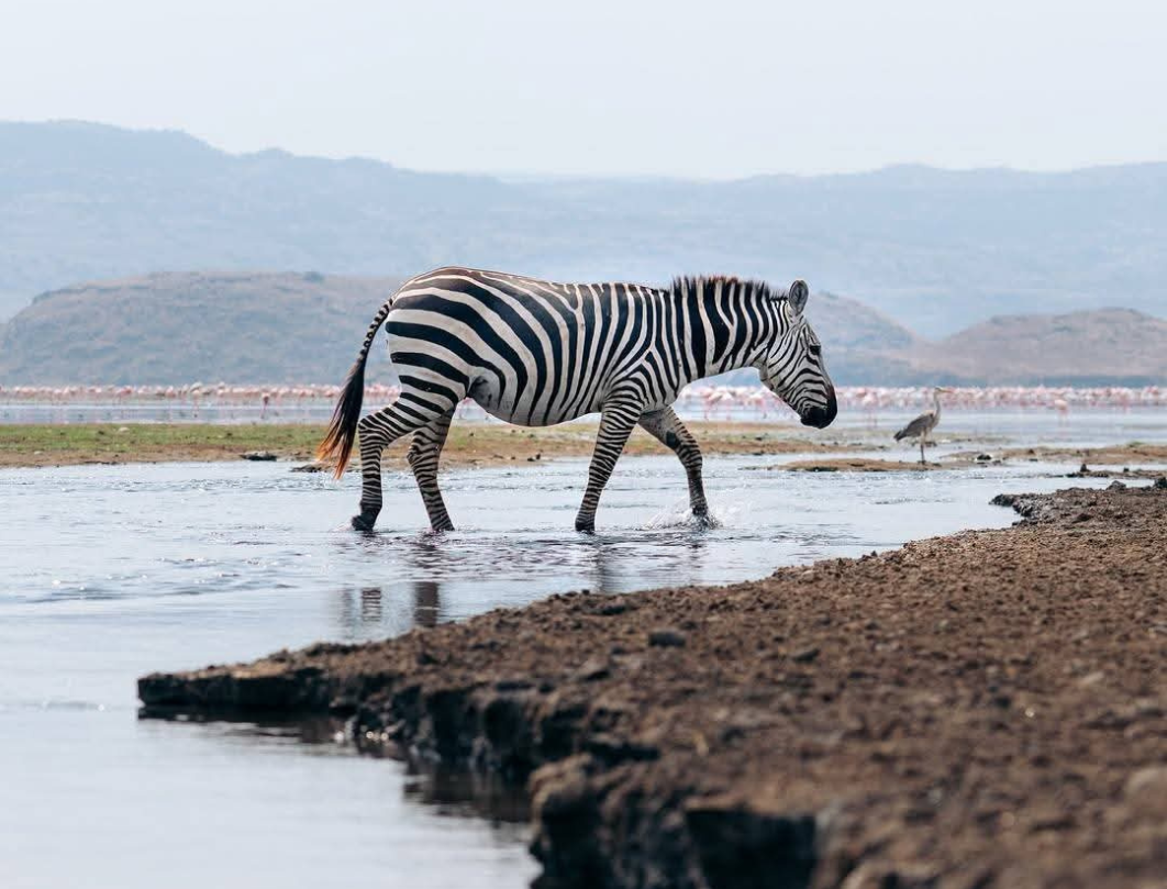 11 Days Tanzania Honeymoon Safari