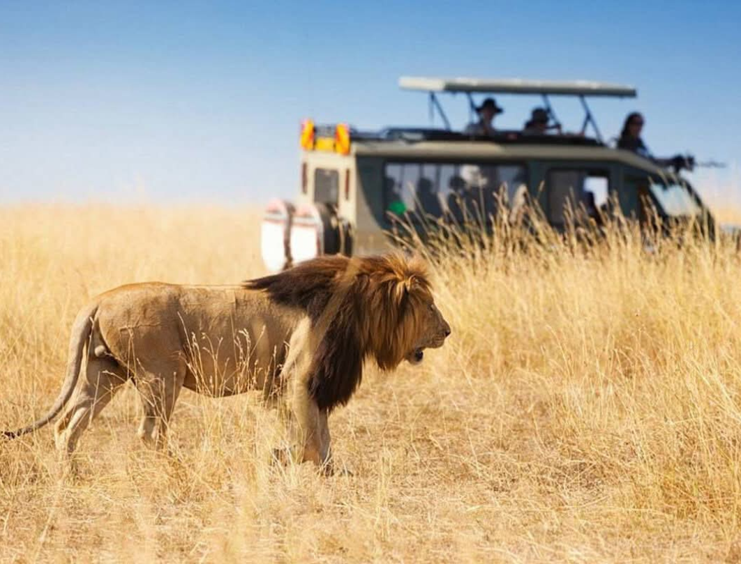 12 Days Kenya Luxury Bush To Beach Safari