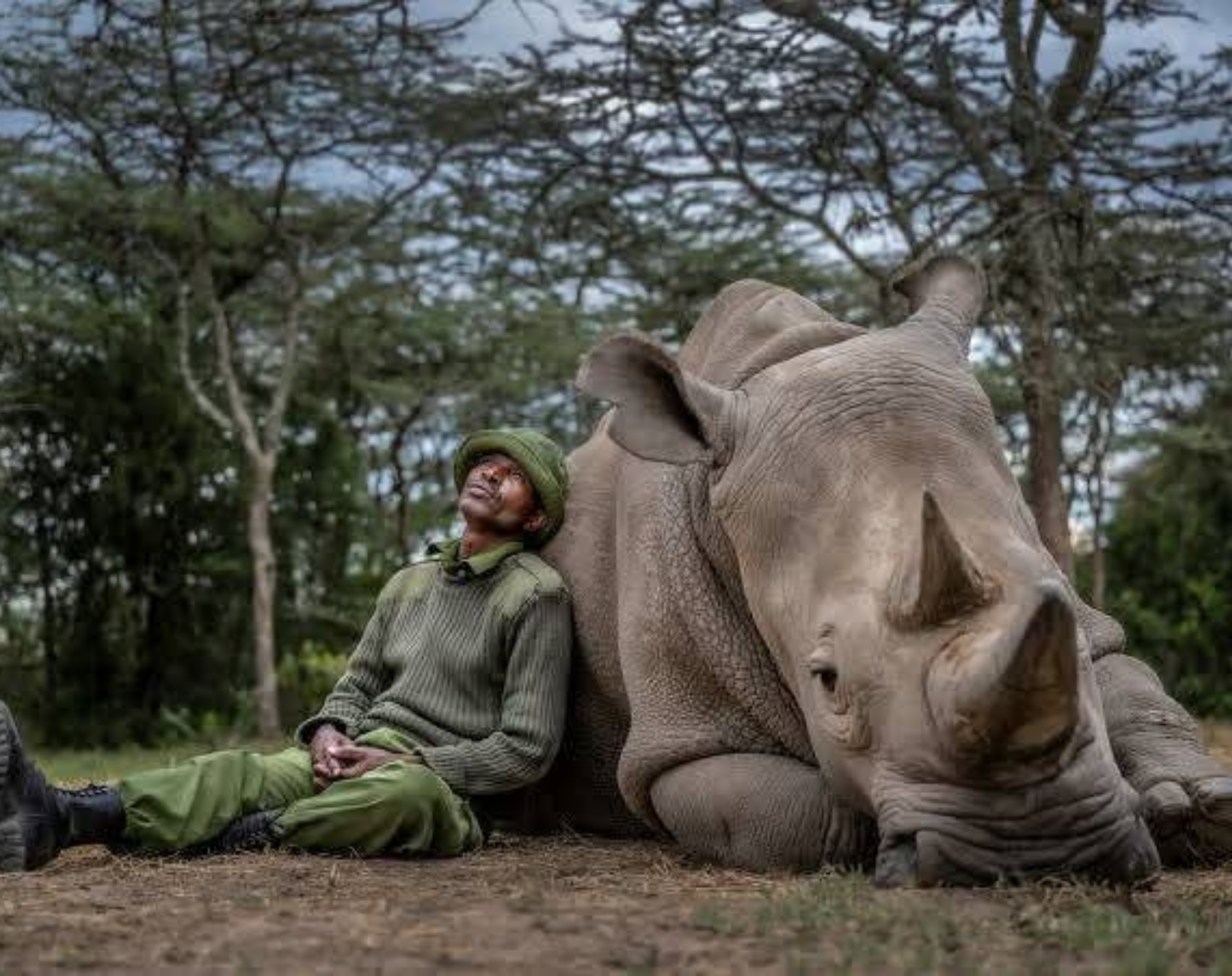 12 Days Explore Kenya Budget Safari