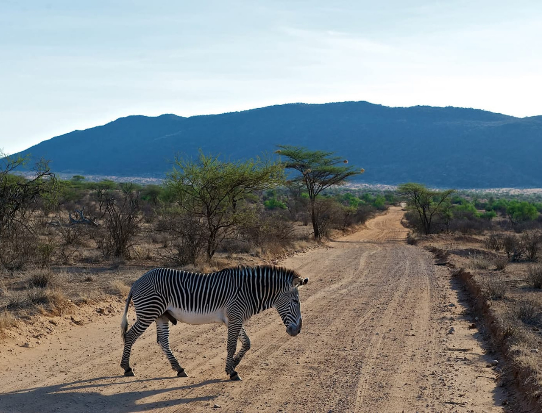 12 Days Kenya Photography Safari 