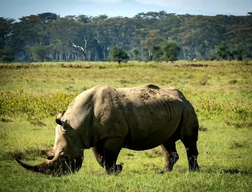 12 Days Kenya Photography Safari 