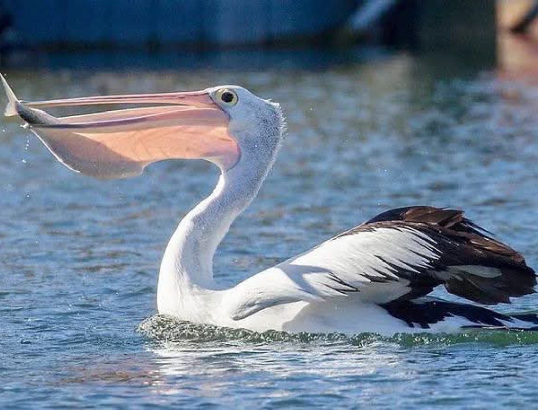 12 Days Explore Kenya Private Classic Safari