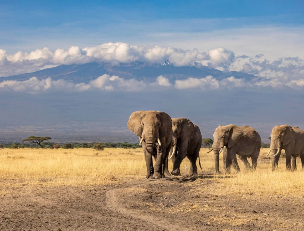 12 Days Explore Kenya Private Classic Safari