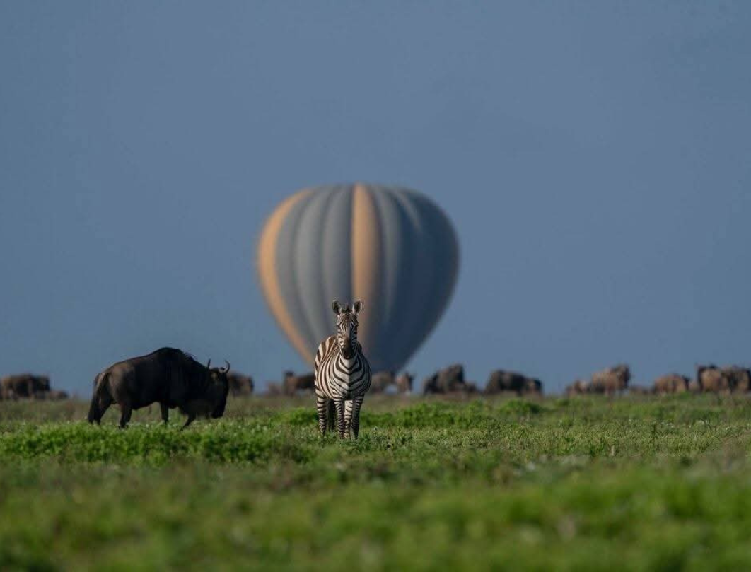 12 Days Tanzania Private Safari