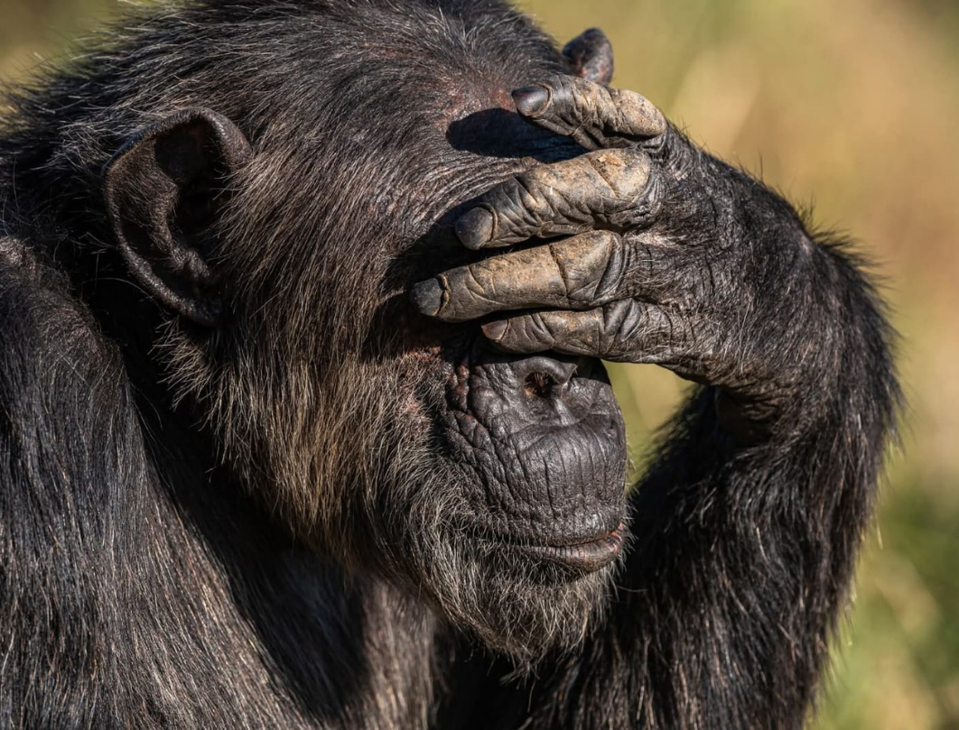 13 Days Kenya Luxury Bush To Beach Safari