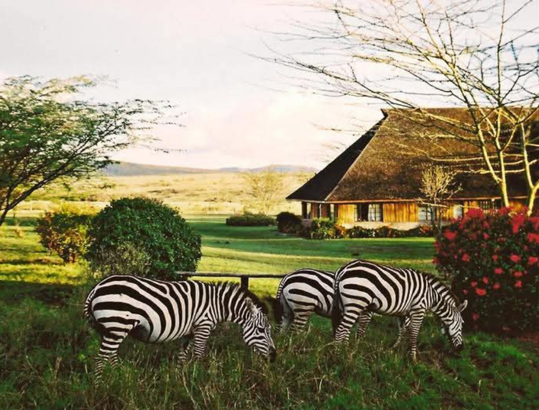 13 Days Kenya Luxury Bush To Beach Safari