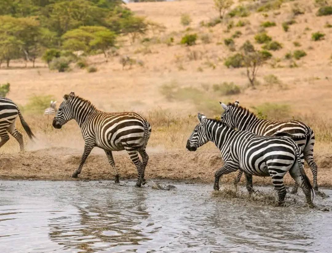 13 Days Explore Kenya Budget Safari