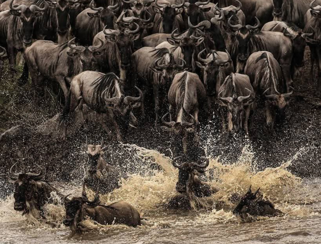 13 Days Tanzania Private Safari