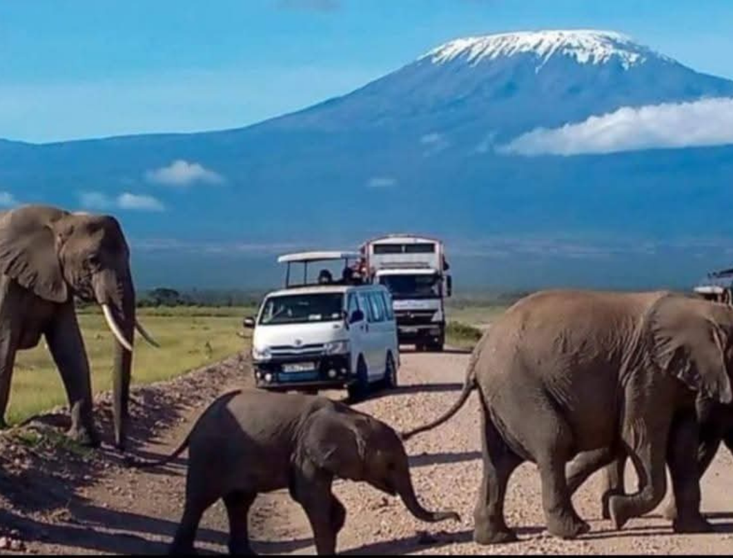 14 Days Explore Kenya Budget Safari