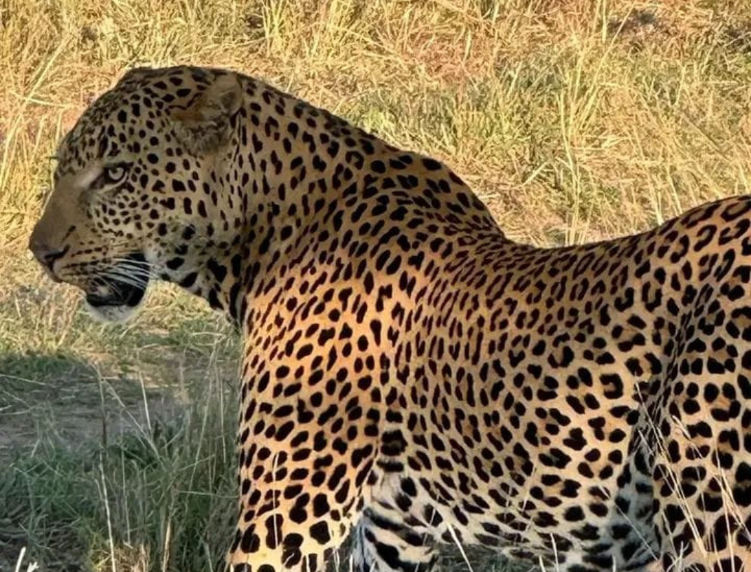 14 Days Tanzania Private Safari
