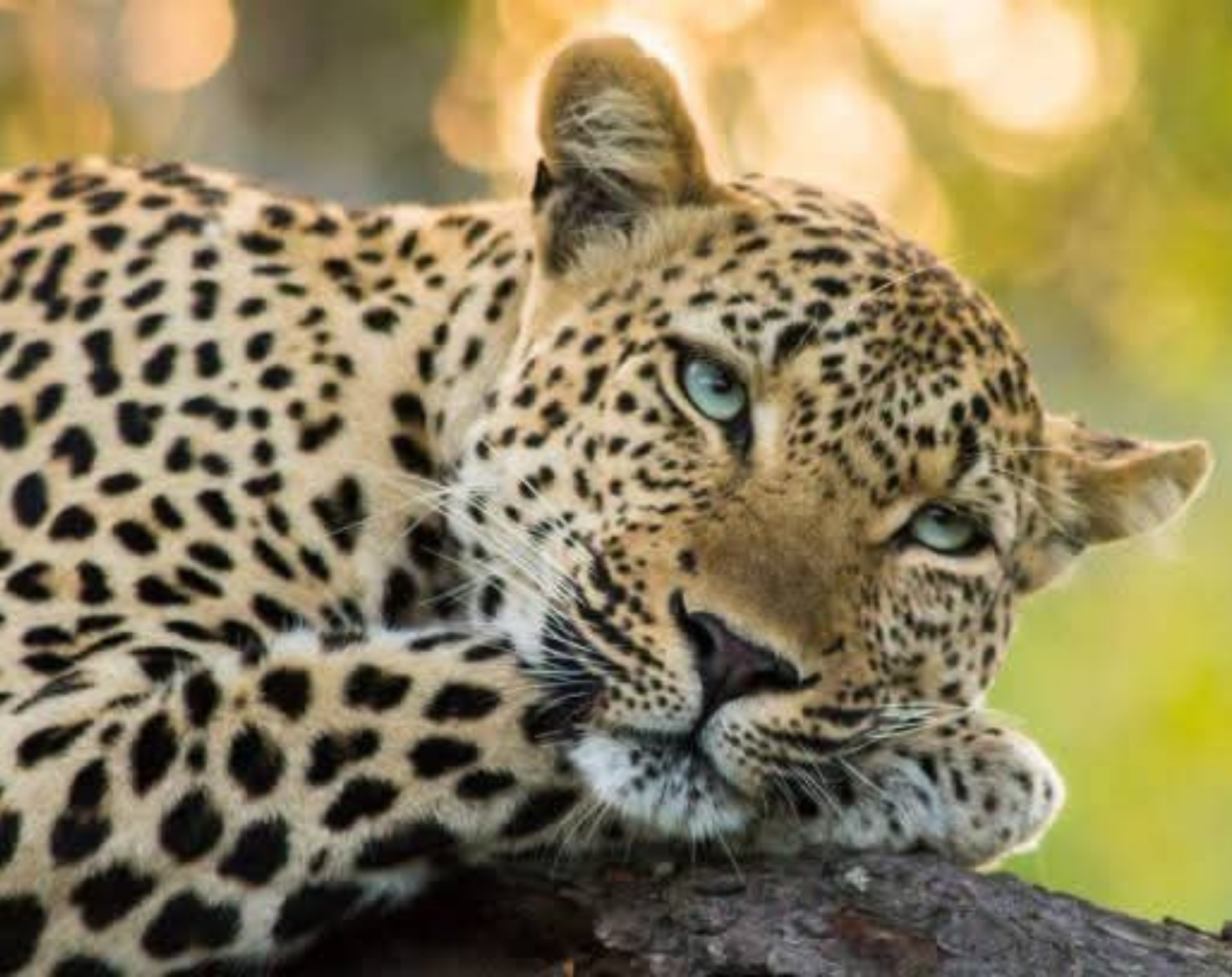 2 Days Tanzania Budget Camping Safari