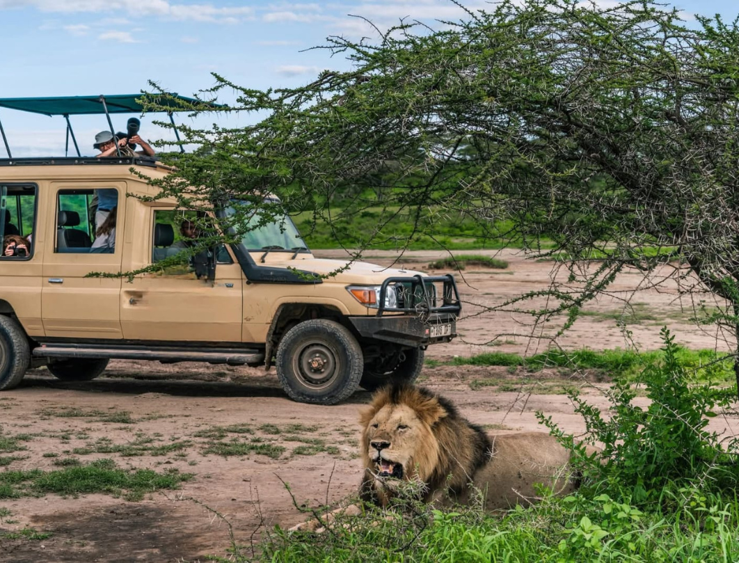 4 Days Tanzania Private Safari
