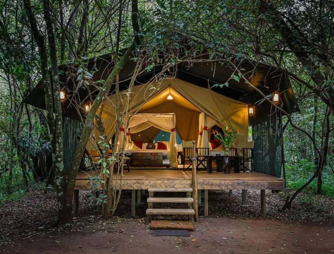 6 Days Maasai Mara,Nakuru,Samburu Budget Safari