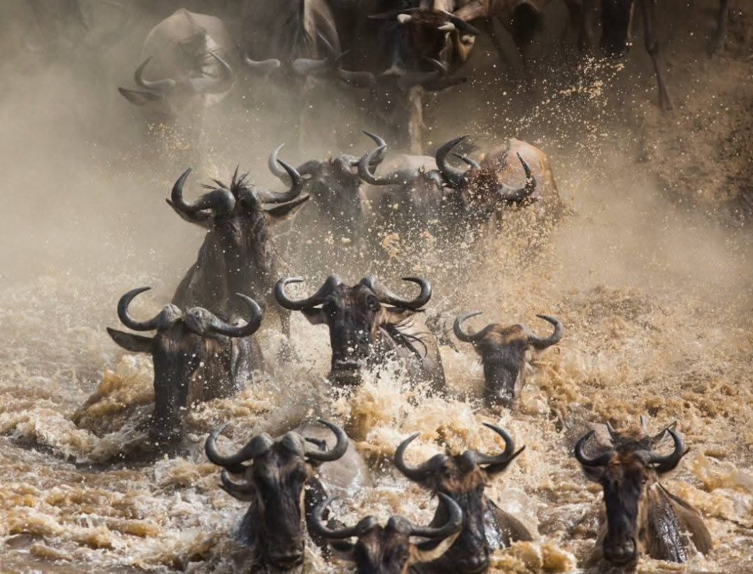 6 Days Tanzania Private Safari