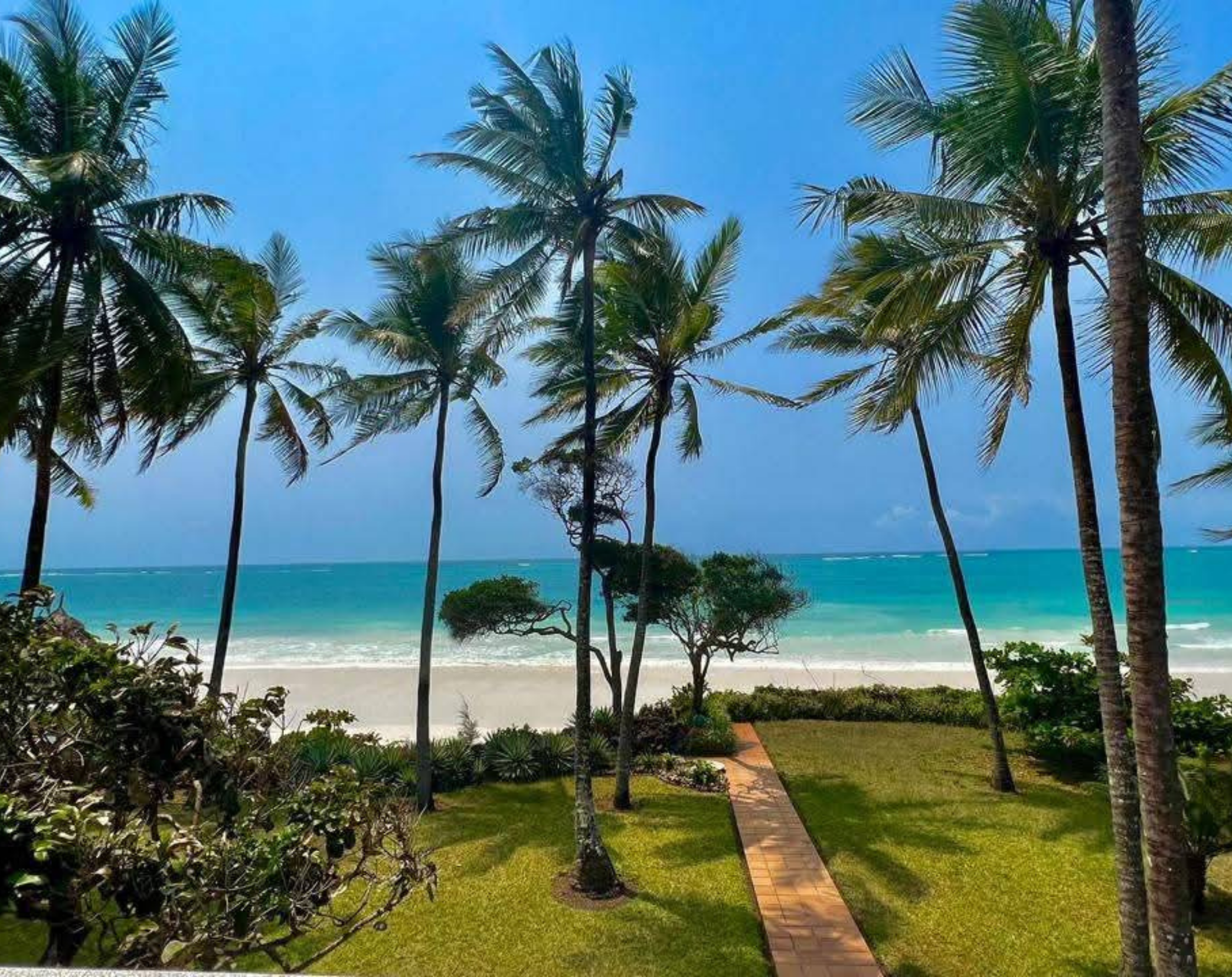 7 Days Kenya Bush To Beach Safari Experience