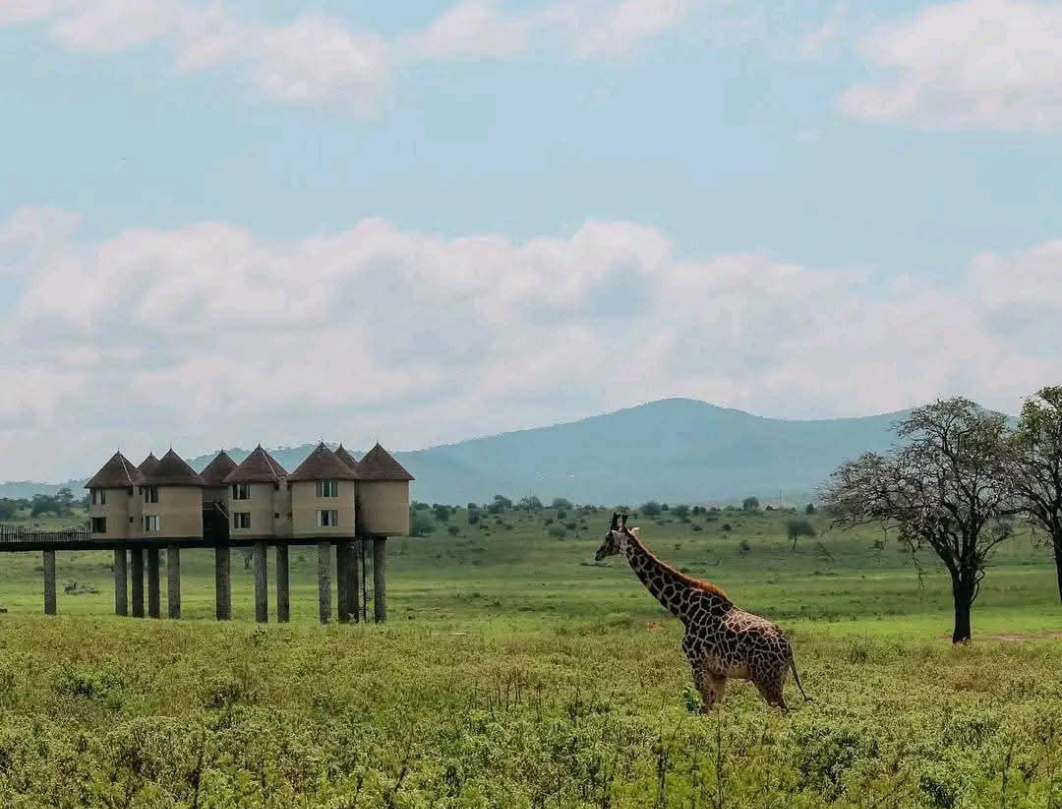 7 Days Kenya Bush To Beach Safari Experience
