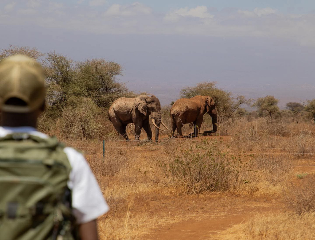 7 Days Kenya Photography Safari