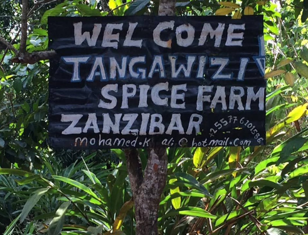 7 Days Zanzibar Dream Vacation 