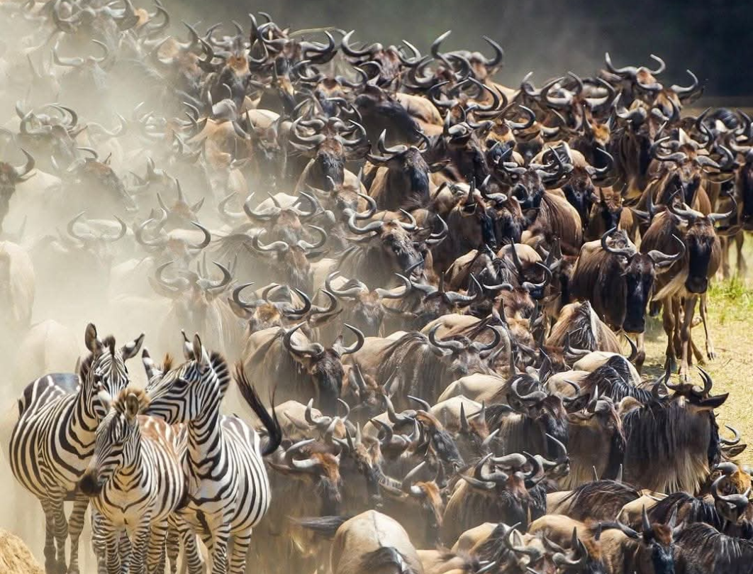 8 Days Tanzania Honeymoon Safari