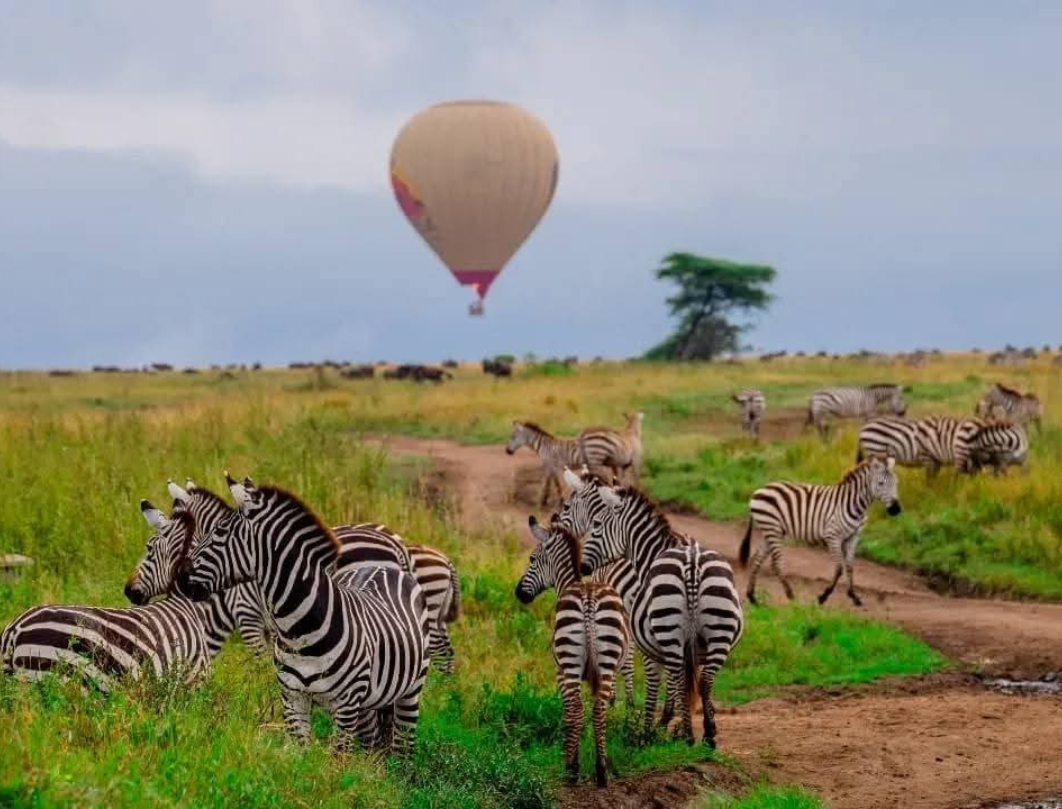 8 Days Tanzania Honeymoon Safari
