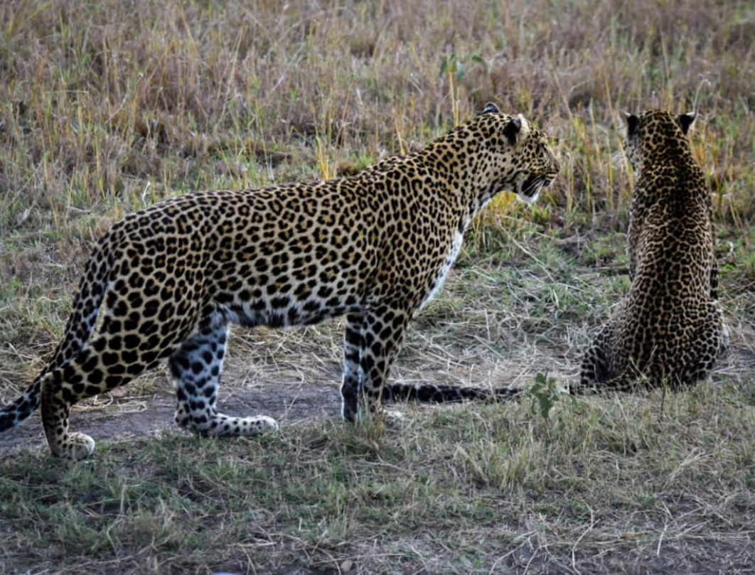 Great Lakes, Maasai Mara & Amboseli Private Safari