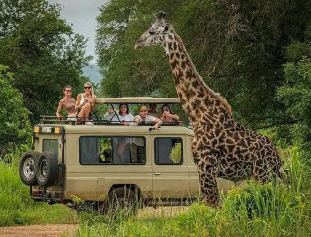 9 Days Tanzania Private Safari