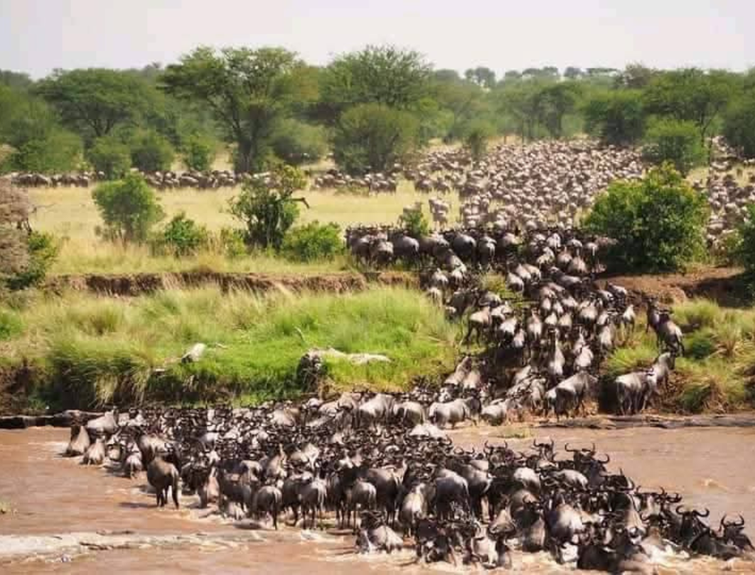 9 Days Tanzania Private Safari