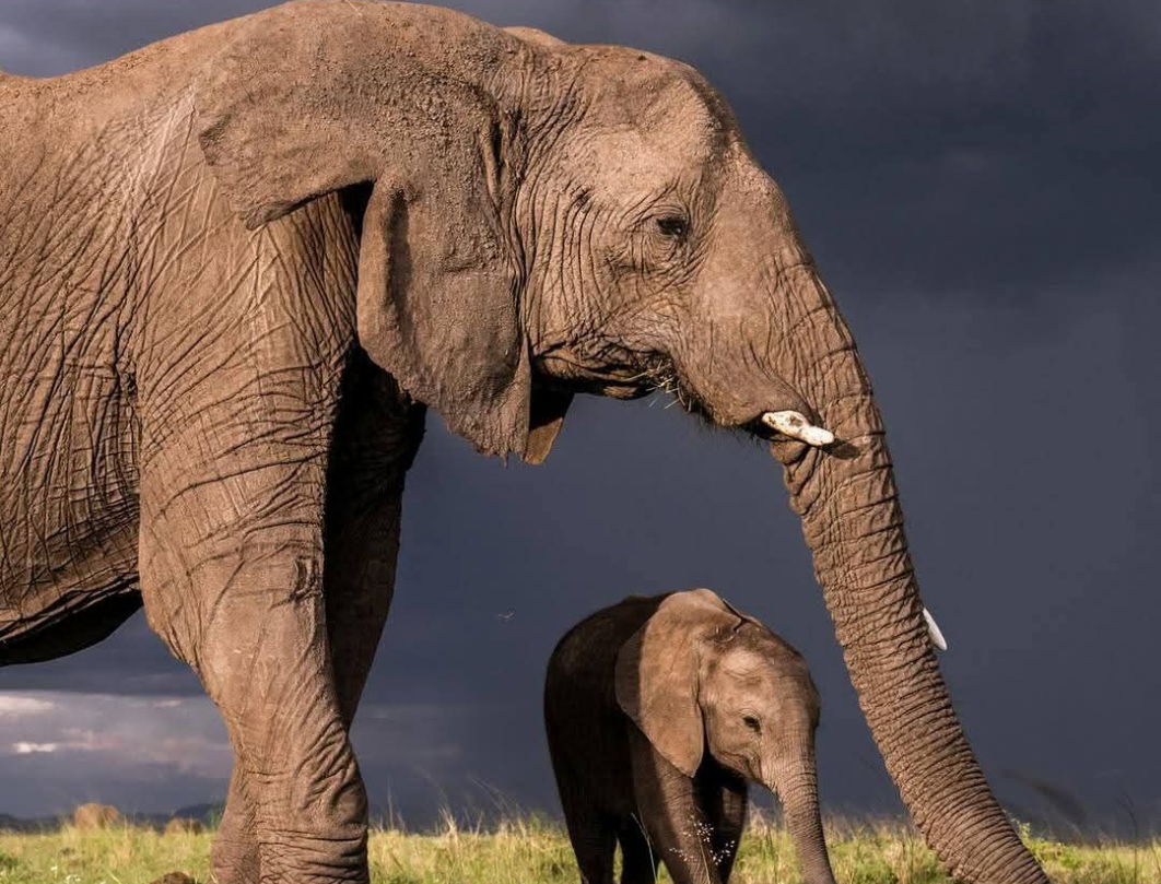 9 Days Tanzania Honeymoon Safari