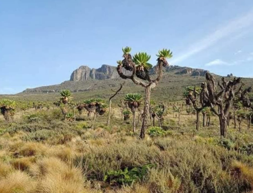 Mount Elgon 3 Days Trekking