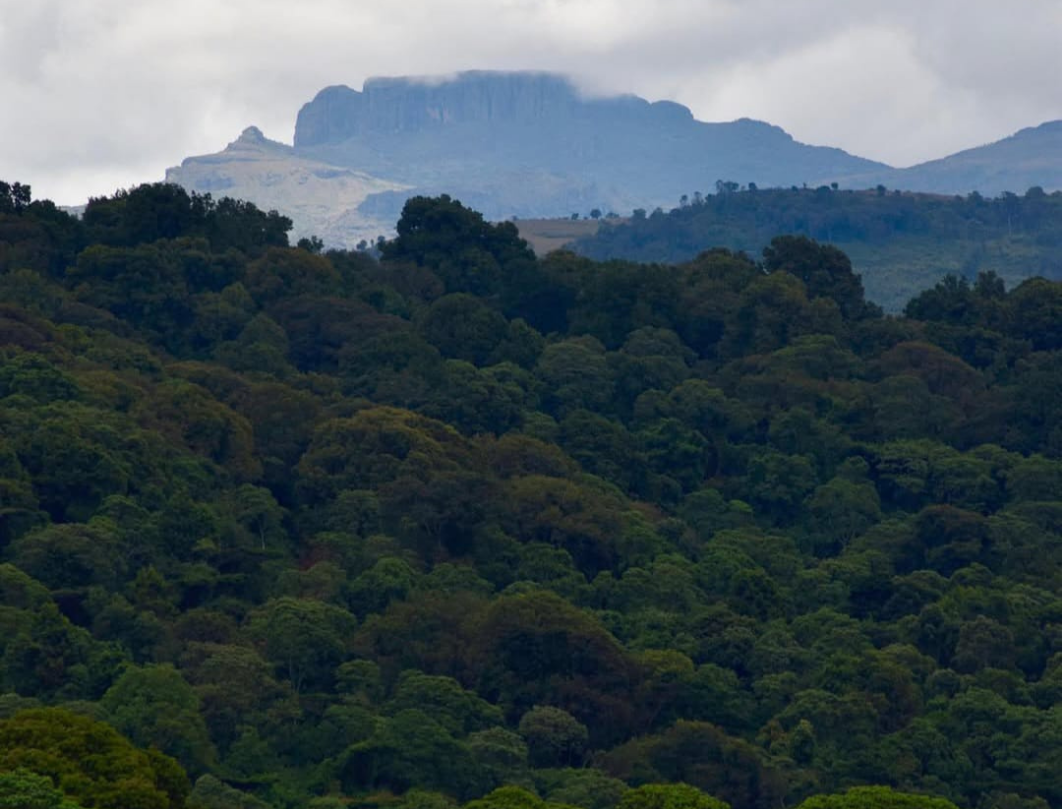 Mount Elgon 4 Days Trekking