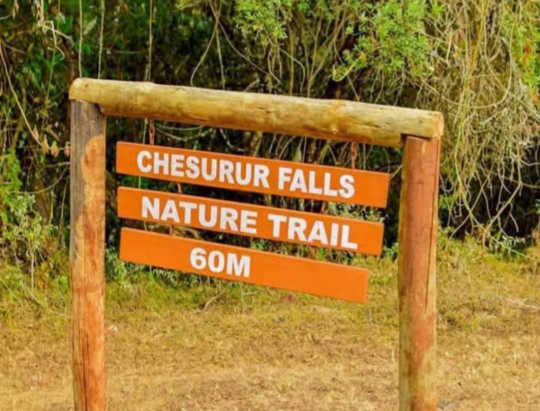 4 Days Mount Elgon Trekking Sipi Falls To Wagagai Peak