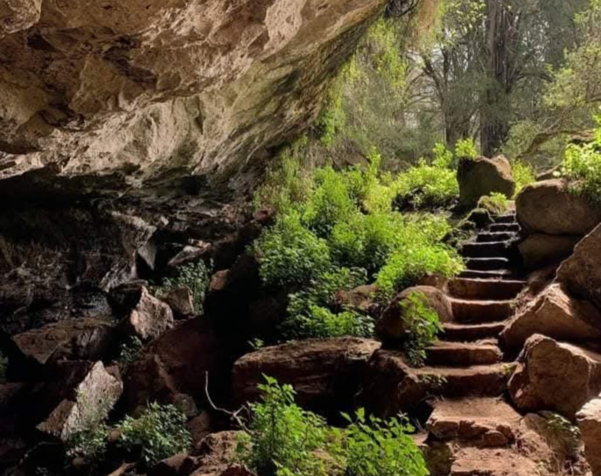 4 Days Mount Elgon Trekking Sipi Falls To Wagagai Peak