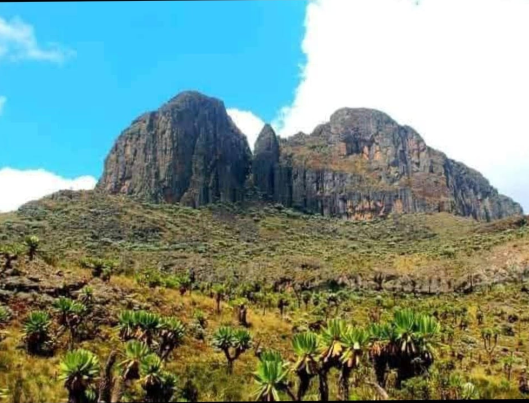 5 Days Mount Elgon Piwsa Trail