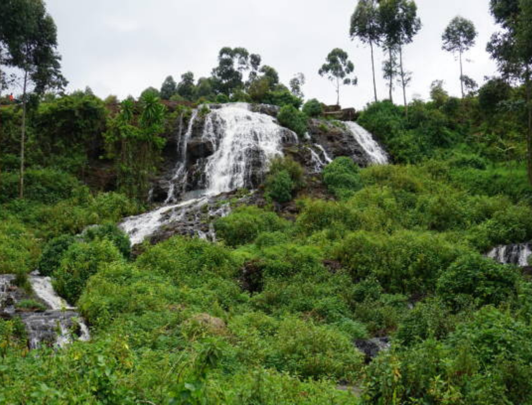 5 Days Mount Elgon Sasa Trail