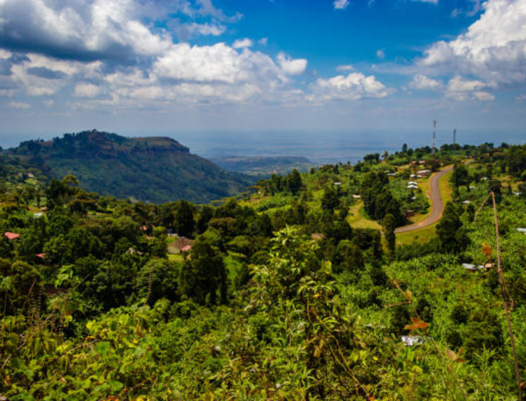5 Days Mount Elgon Sasa Trail