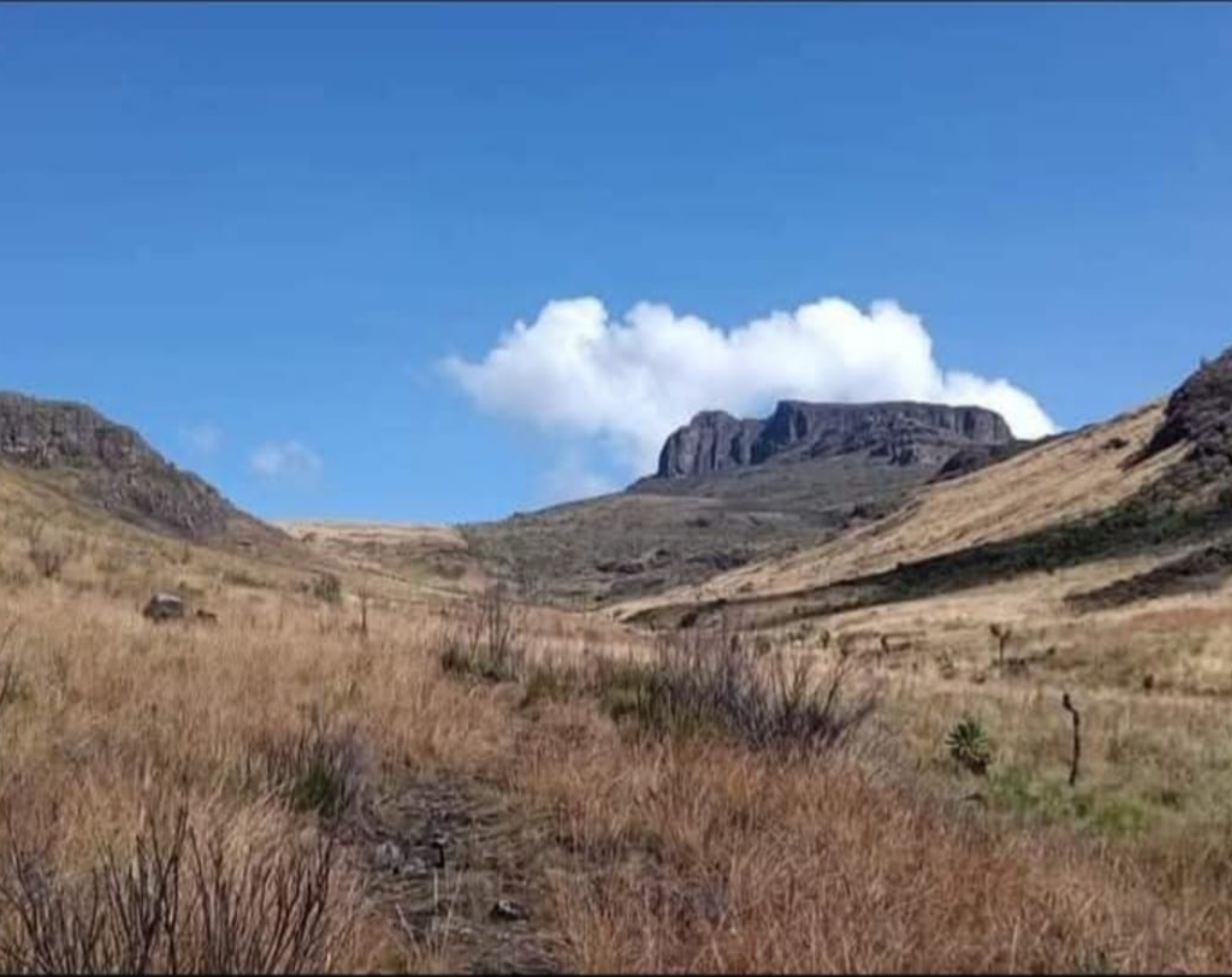 5 Days Mount Elgon Sasa Trail