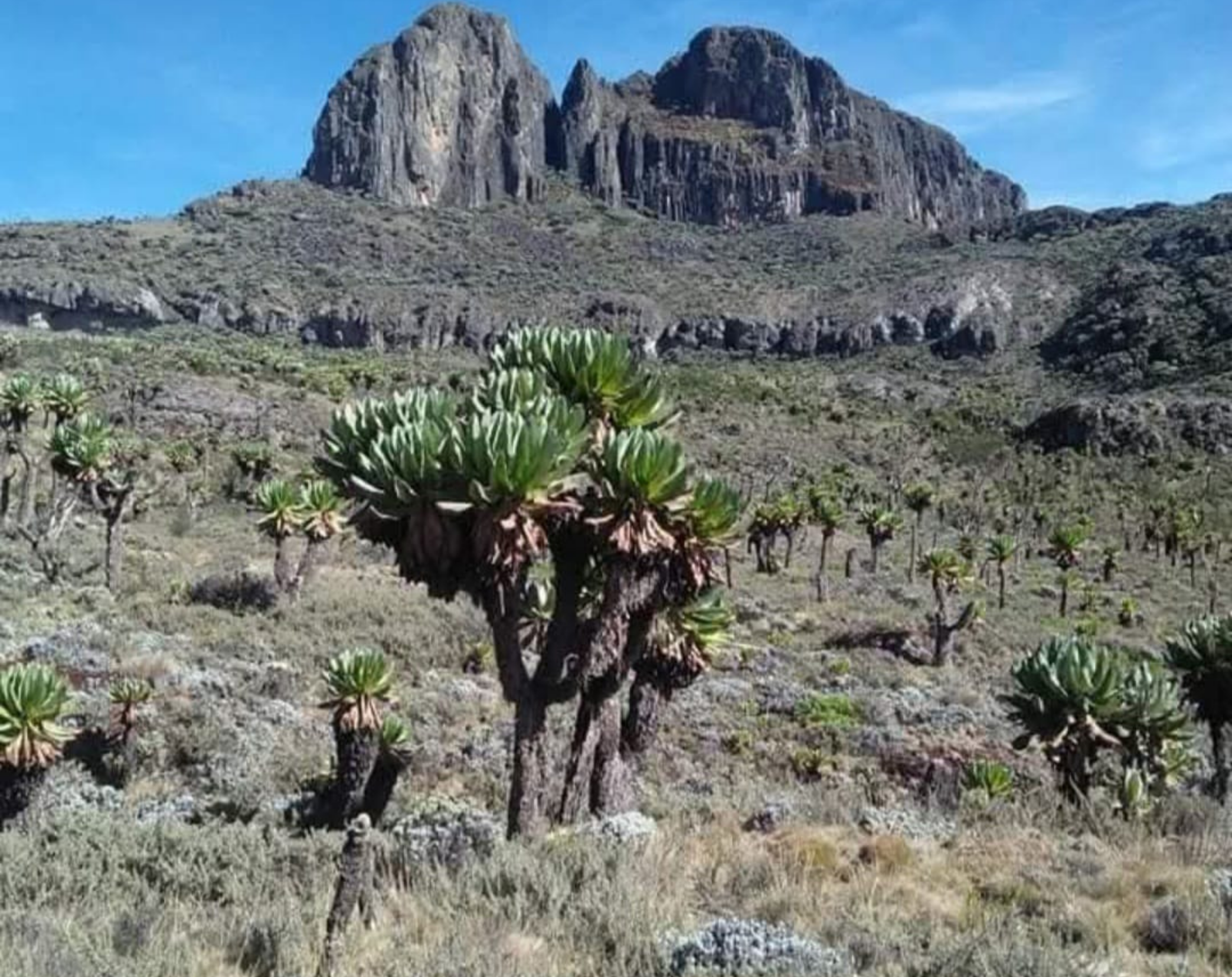 5 Days Mt Elgon Summit Of Serenity